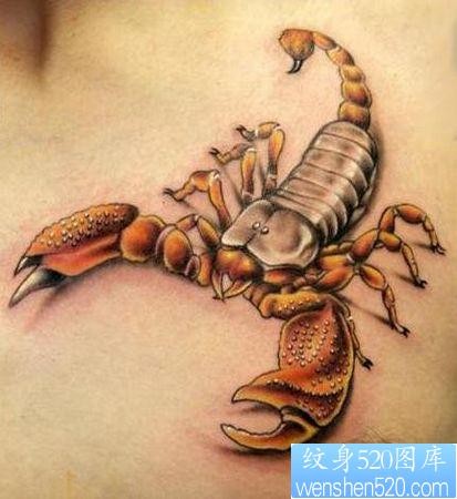 蝎子纹身图片：胸部彩色蝎子纹身图案
