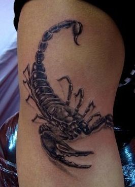 蝎子纹身图片：一张手臂蝎子纹身图案