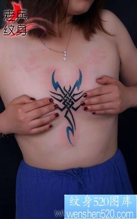 一张另类性感美女胸部彩色图腾蝎子纹身图案