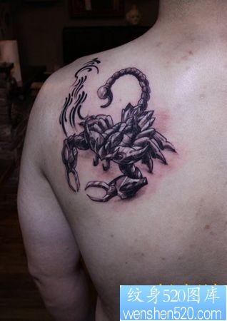 蝎子纹身图片：肩部机械蝎子纹身图案