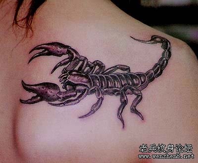 一张经典流行美女肩部蝎子纹身图案