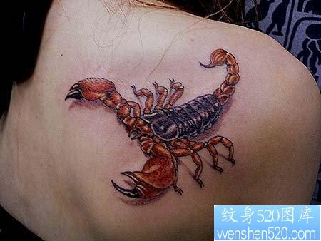 蝎子纹身图片：美女肩部彩色蝎子纹身图案