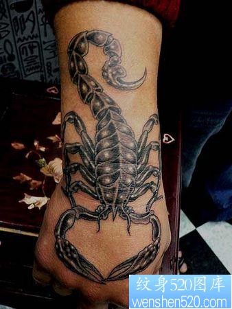 蝎子纹身图片：一张手部手背蝎子纹身图案