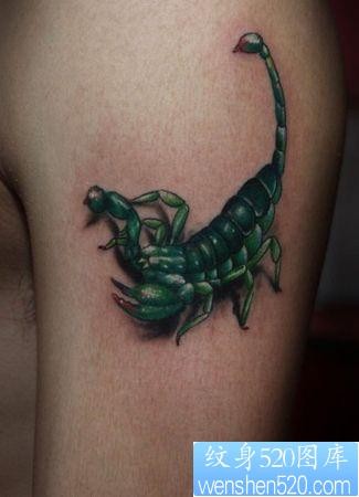 蝎子纹身图片：一张手臂彩色蝎子纹身图案