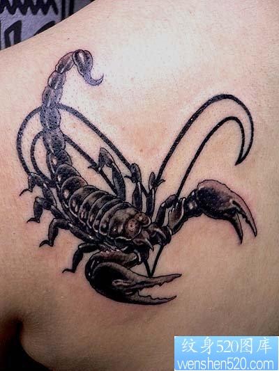 蝎子纹身图片：一张肩部蝎子纹身图案