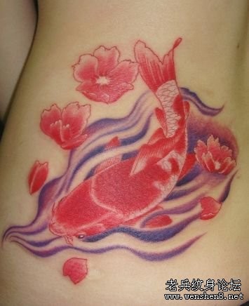 动物纹身图片―经典流行鲤鱼纹身图片（精品）