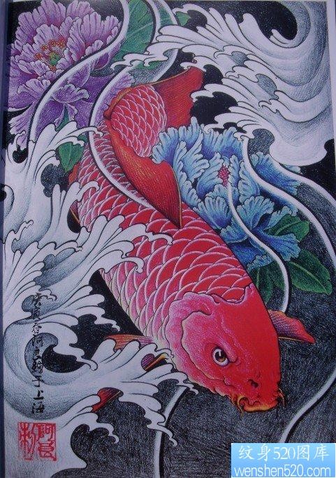 纹身520图库为你提供一张彩色鲤鱼牡丹纹身图案