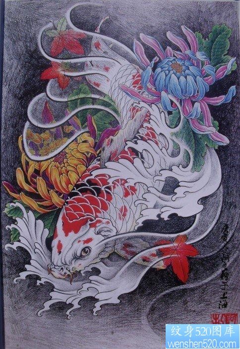 纹身520图库为你提供一张彩色鲤鱼菊花纹身图案