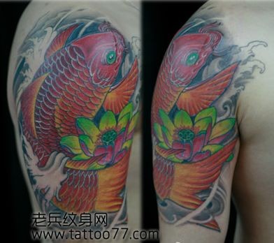 好看的彩色鲤鱼莲花纹身图片