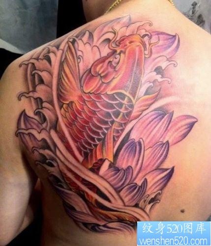 男生肩背一张彩色鲤鱼纹身图片