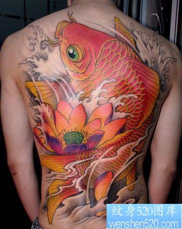 满背华丽的彩色鲤鱼莲花纹身图片