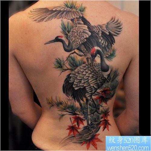 美女背部一张白鹤仙鹤纹身图片
