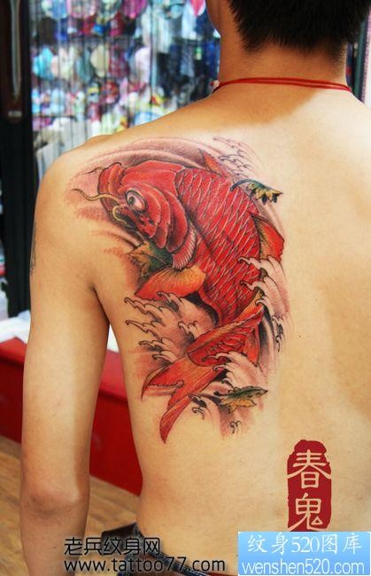 一张背部好看的彩色鲤鱼纹身图片