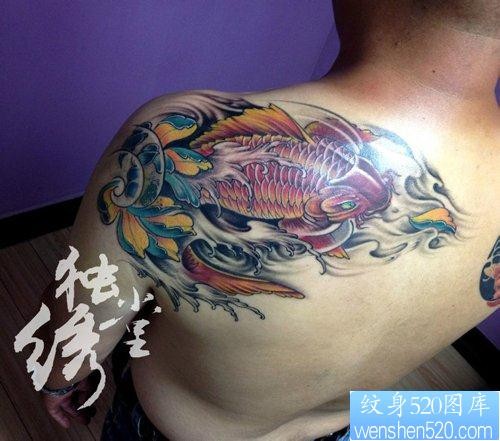 男性肩膀处好看的彩色鲤鱼莲花纹身图片