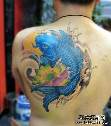 男生肩背漂亮的彩色鲤鱼莲花纹身图片
