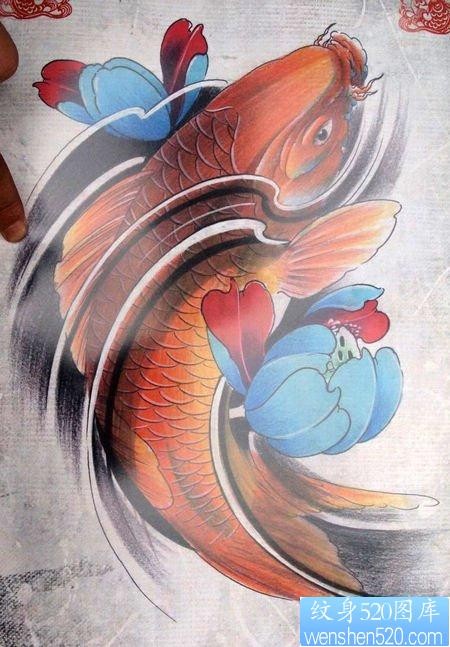 时尚好看的彩色鲤鱼纹身手稿