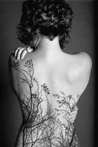 女性背部树木刺青