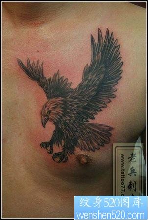 老鹰纹身图片：一张胸部老鹰纹身图案