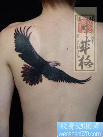 老鹰纹身图片：肩部老鹰纹身图案