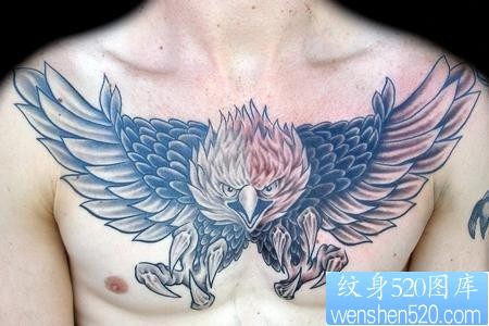 老鹰纹身图片：胸部老鹰纹身图案