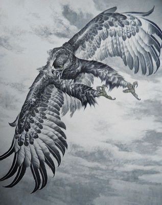 老鹰纹身图片：大鹏展翅纹身图片图案