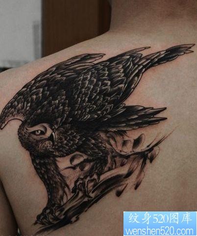肩背霸气的老鹰纹身图片