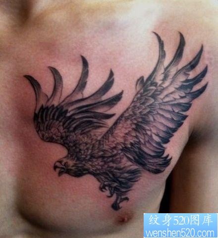 胸部经典帅气的老鹰纹身图片