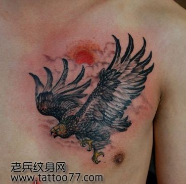 帅气的胸部老鹰纹身图片