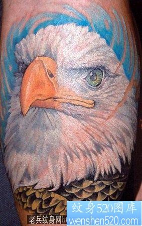 老鹰纹身图片：彩色老鹰纹身图案