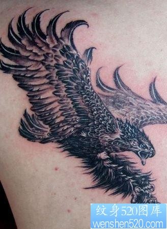 老鹰纹身图片：一张肩部雄鹰展翅纹身图案