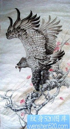 老鹰纹身图片：一张雄鹰展翅纹身图案