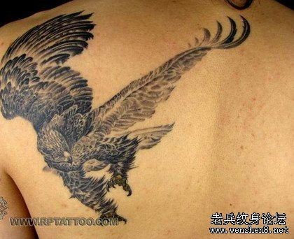 老鹰纹身图片：肩部展翅的老鹰纹身图案