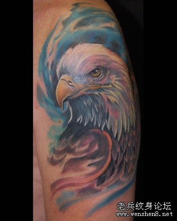 一张手臂3D彩色老鹰纹身图案
