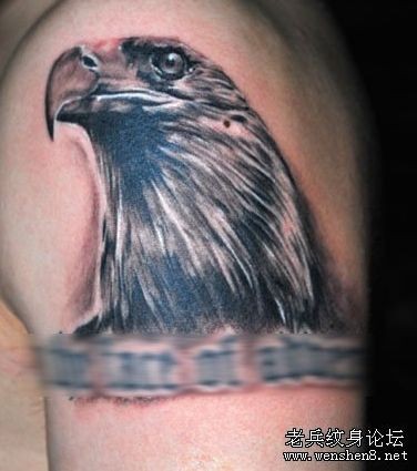 老鹰纹身图片：一张手臂老鹰头像纹身图片
