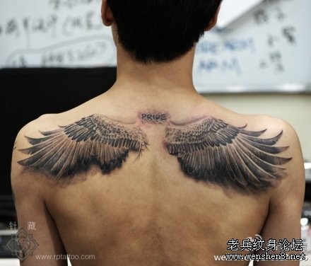 老鹰纹身图片：背部老鹰翅膀纹身图案