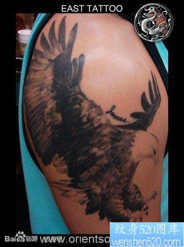 男生手臂帅气流行的老鹰纹身图片
