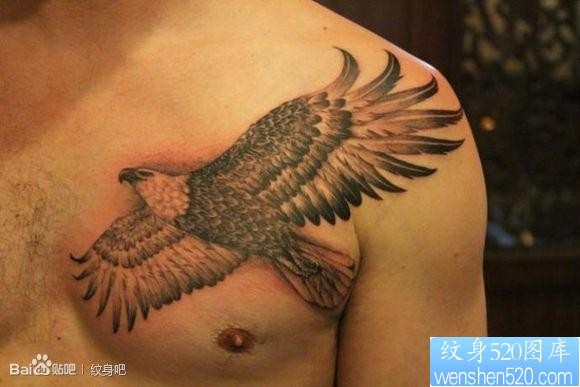 男生胸前超酷的老鹰纹身图片
