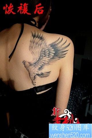 女人肩背展翅的老鹰纹身图片