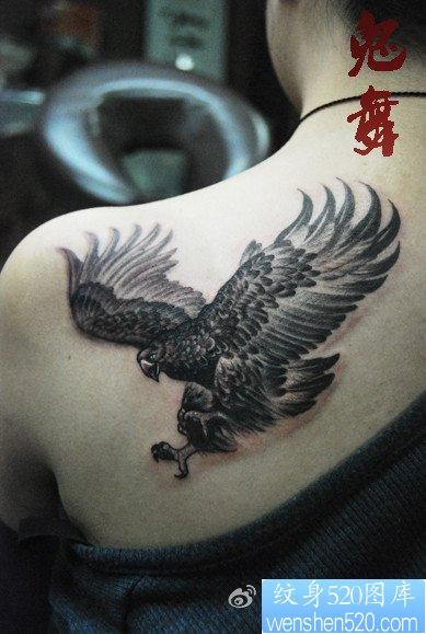 女人肩背超酷的老鹰纹身图片