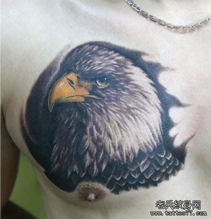 男生胸部帅气的老鹰纹身图片