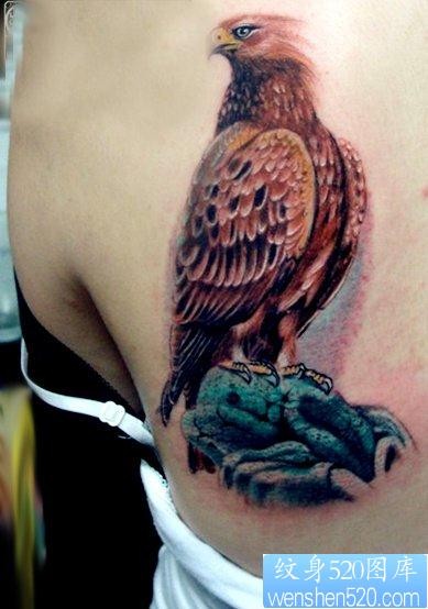 美女背部一张彩色老鹰纹身图片
