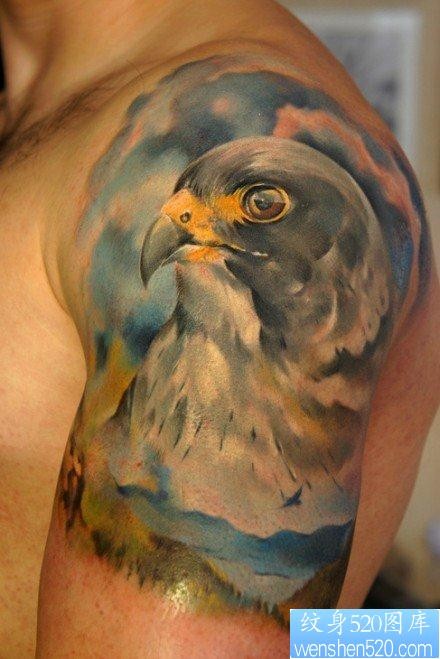 男生手臂超帅的欧美彩色老鹰纹身图片