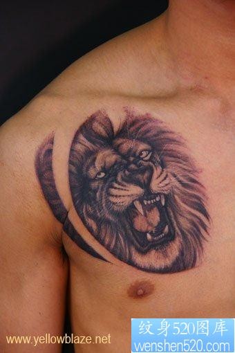 狮子纹身图片：胸部狮子狮子头纹身图案