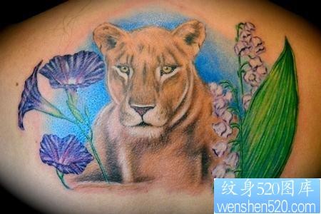 狮子纹身图片：背部彩色狮子狮子头纹身图案