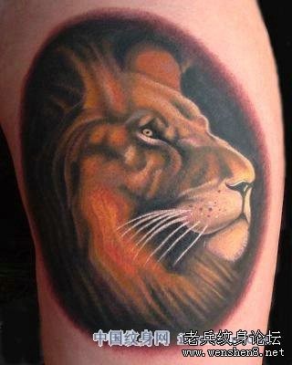 狮子纹身图片：腿部彩色狮子狮子头纹身图案