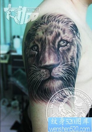狮子纹身图片：手臂狮子纹身图案