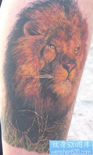 狮子纹身图片：腿部彩色狮子头像纹身图案