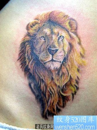 狮子纹身图片：腹部狮子狮头纹身图案
