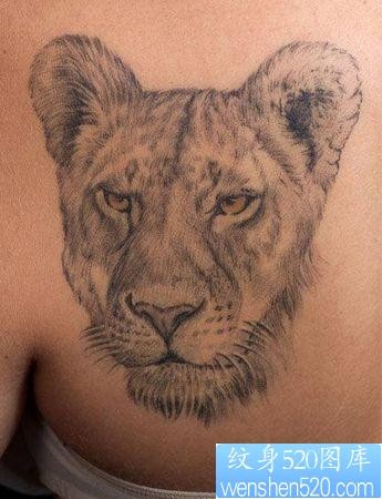 狮子纹身图片：美女肩部狮子狮头纹身图案