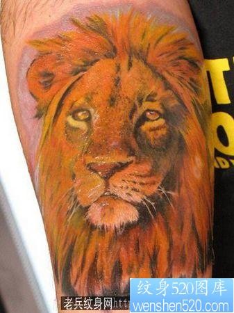 狮子纹身图片：一张腿部彩色狮子头纹身图案